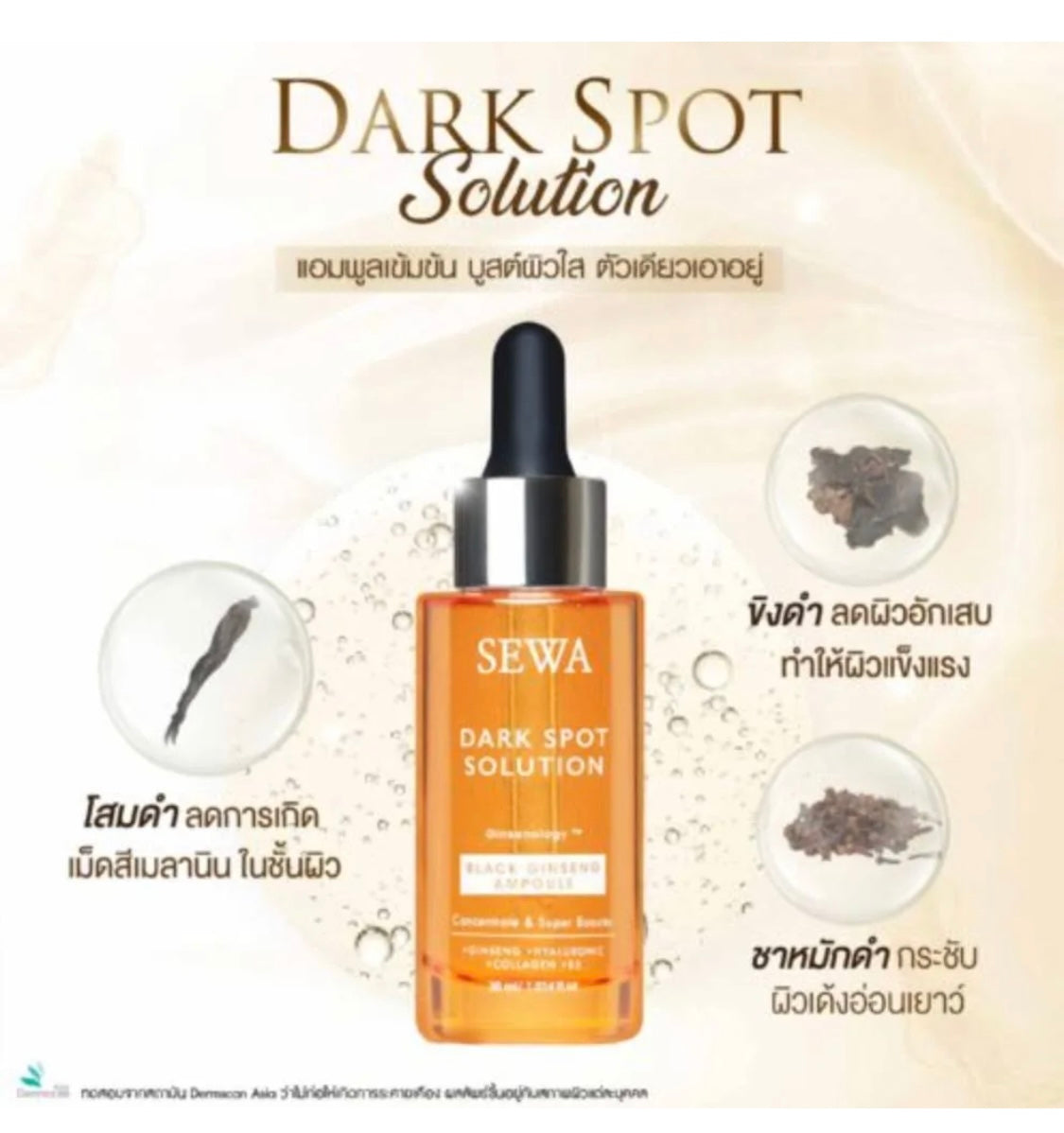 SEWA โสมทองคำ Dark Spot Solution Black Ginseng Ampoule Serum 30 ml + get1 free 3x Overnight Cream